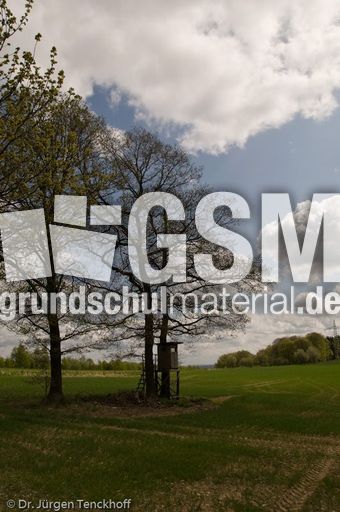 Hochstände (99 von 154).jpg